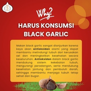 

RB 2 Botol Premium Jumbo Black Garlic Tunggal Black Garlic Lanang HSD 500 Gram