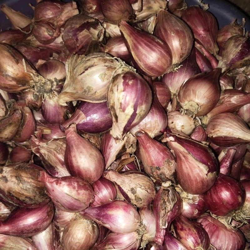 

Bawang Merah 500gr