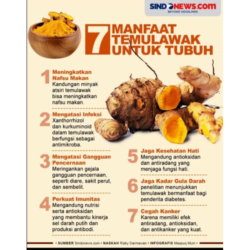 

temulawak segar 1 kg