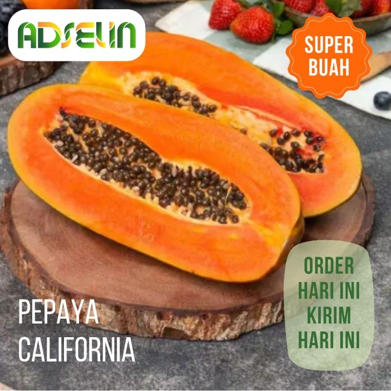 

Pepaya California Buah Segar Paya Super Bersih Matang Mulus