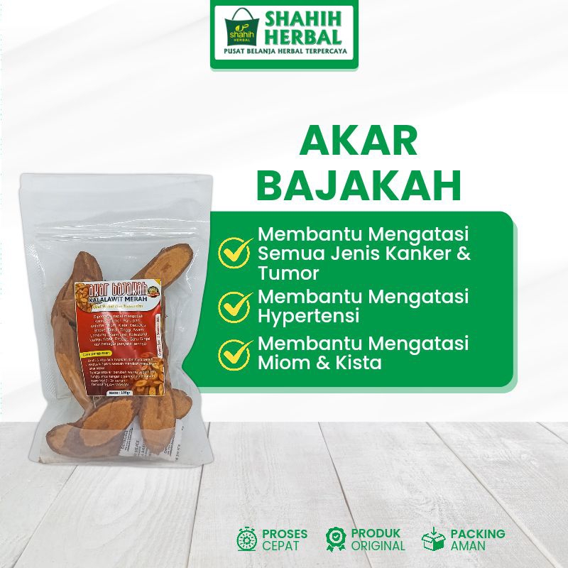 

AKAR KAYU BAJAKAH 100gr