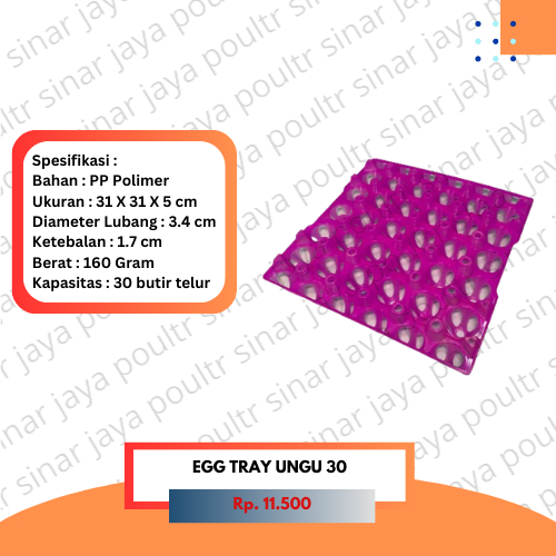 Egg tray 30 ungu kuning / tempat taruh telur taro telur / egg tray plastik / tempat penetasan telur 