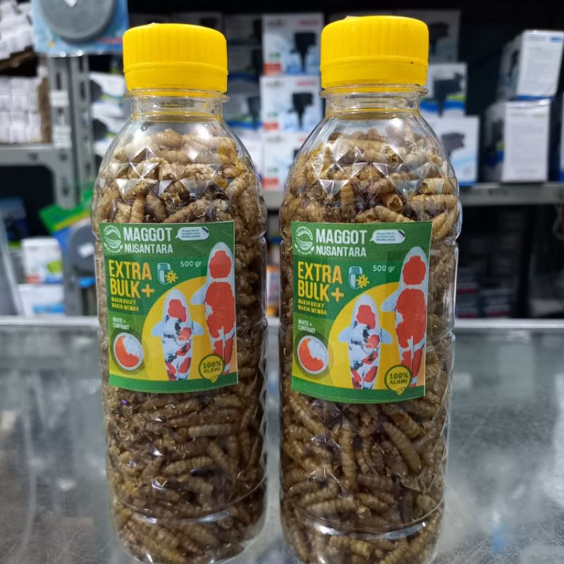 Maggot Nusantara Ulat Kering Pakan Ikan Arwana Louhan Oscar Koi 150gr