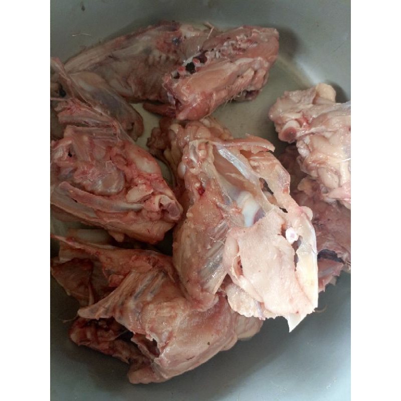 

tulang ayam freezer 1/2 kg