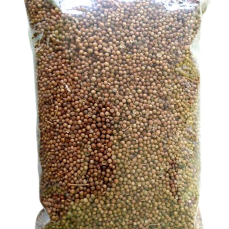 

Ketumbar 500 Gram Biji Ketumbar Asli Alami Natural Tanpa Pemutih
