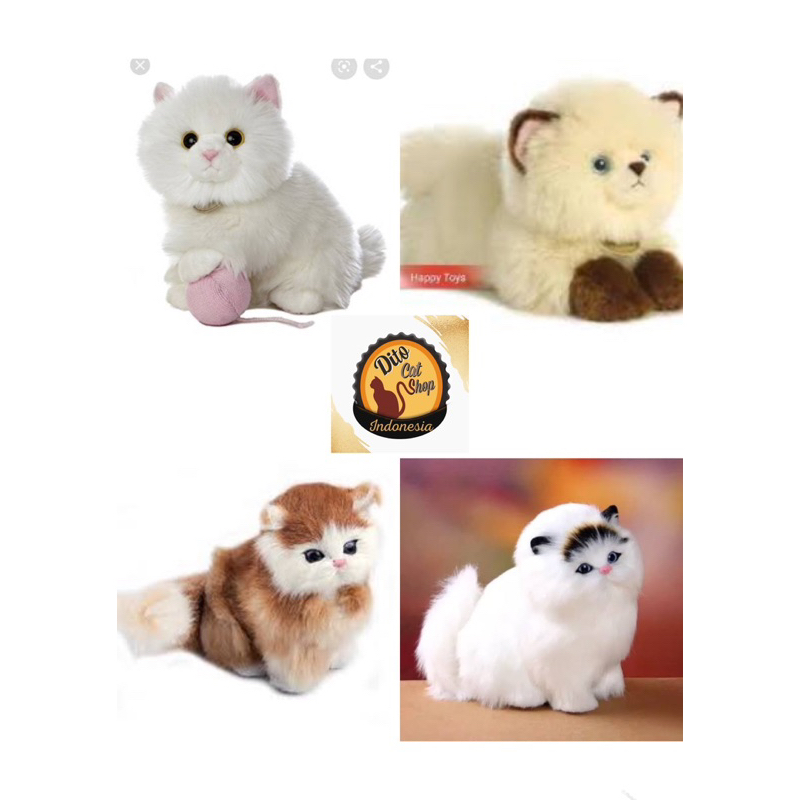 Boneka Kucing Persia Himalaya Ragdol Munchkin