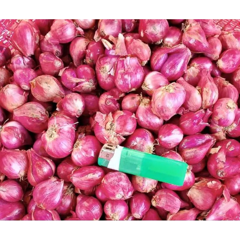

bawang merah 1 kg asli Nganjuk|bumbu masak |bawang merah murah