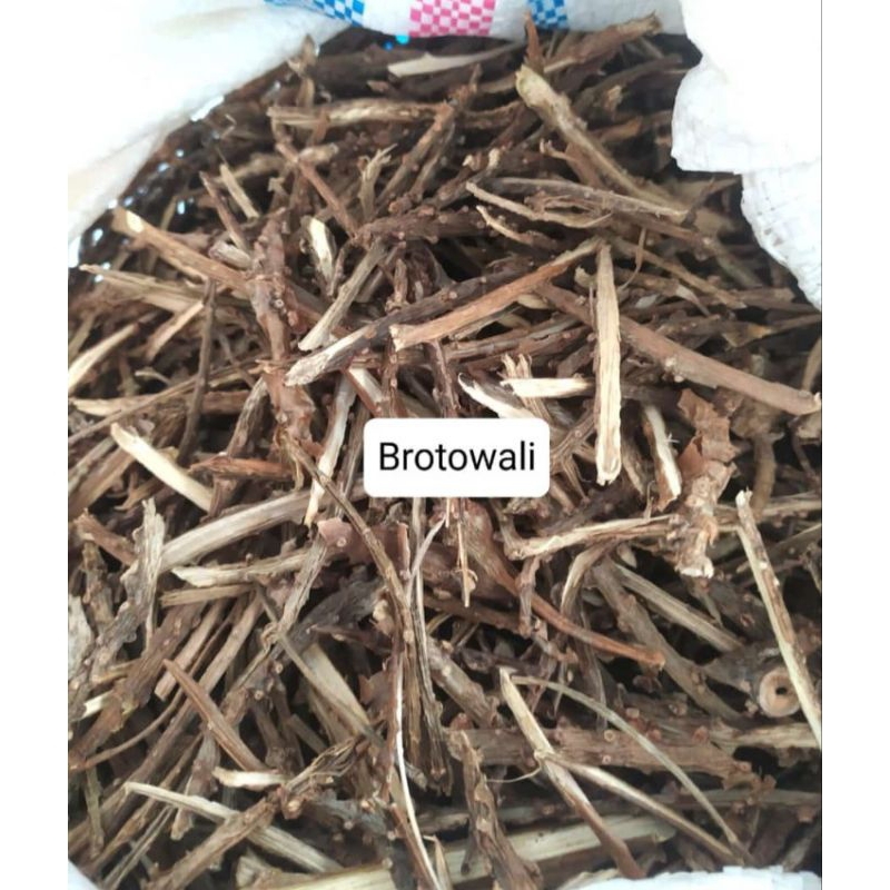 

Brotowali Kering 1kg Original