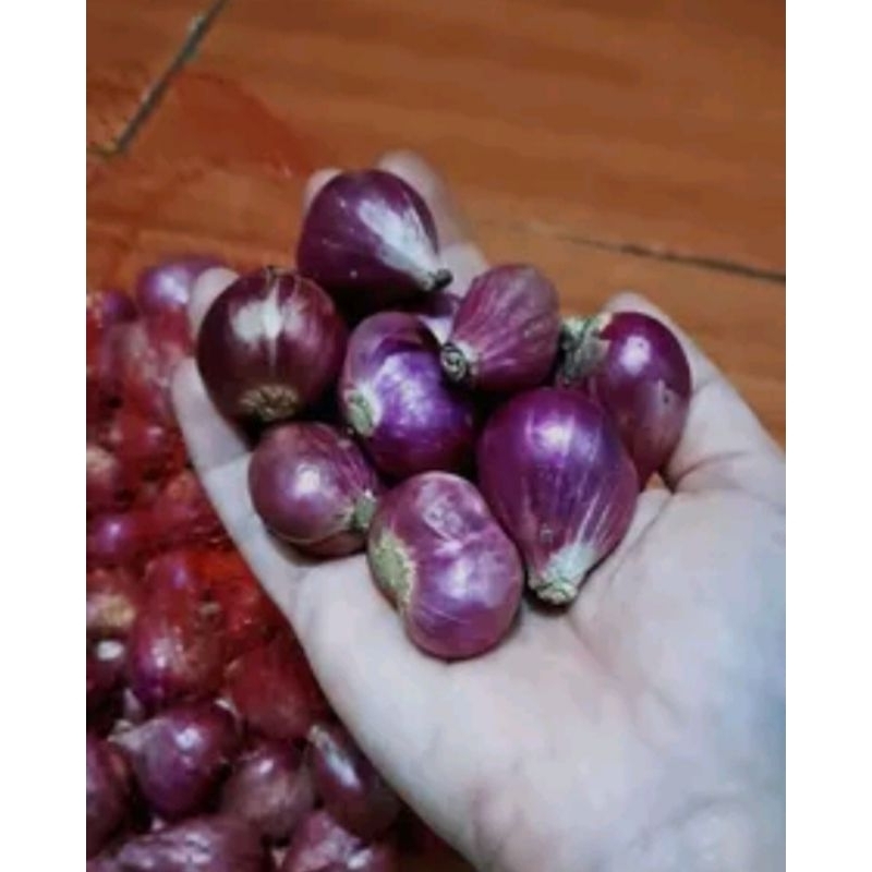 

Bawang merah super asli brebes + bawang putih