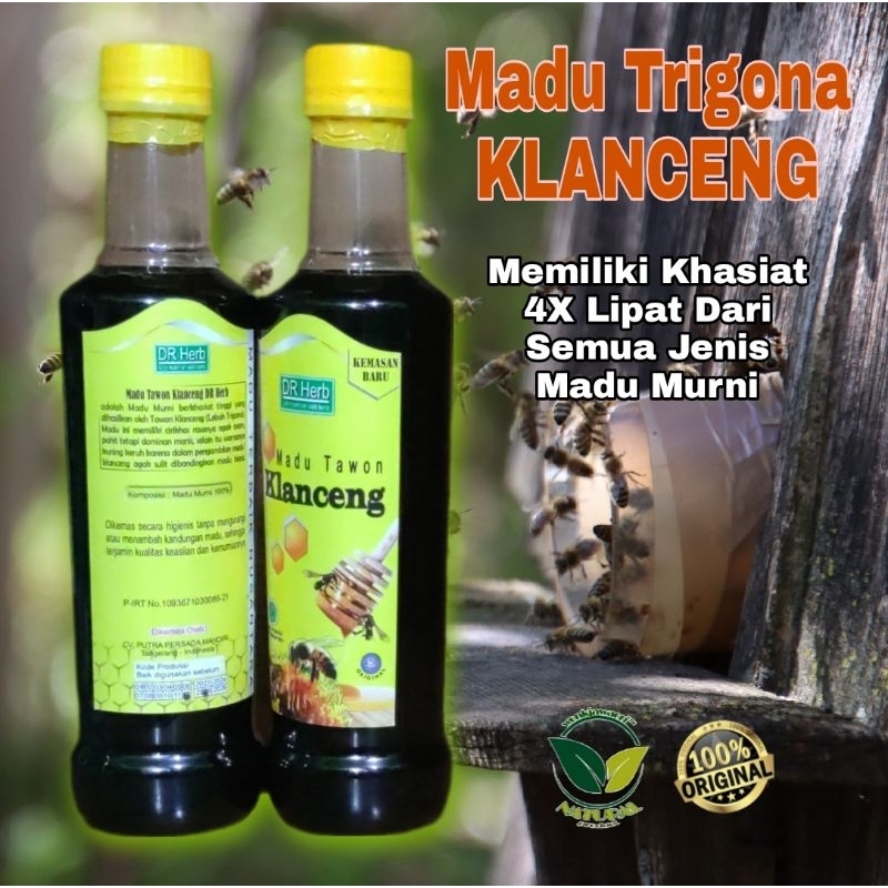 

MADU TRIGONA KLANCENG ASLI ORIGINAL 100% MURNI