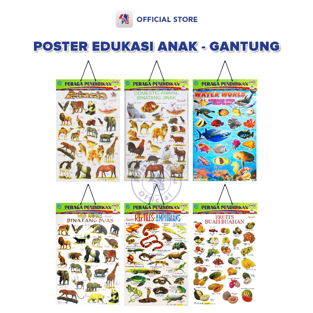 Poster Edukasi Anak Mainan Edukasi Anak Hewan Buah Hewan Lokal Binatang Buas Reptile dan Amphibia / 