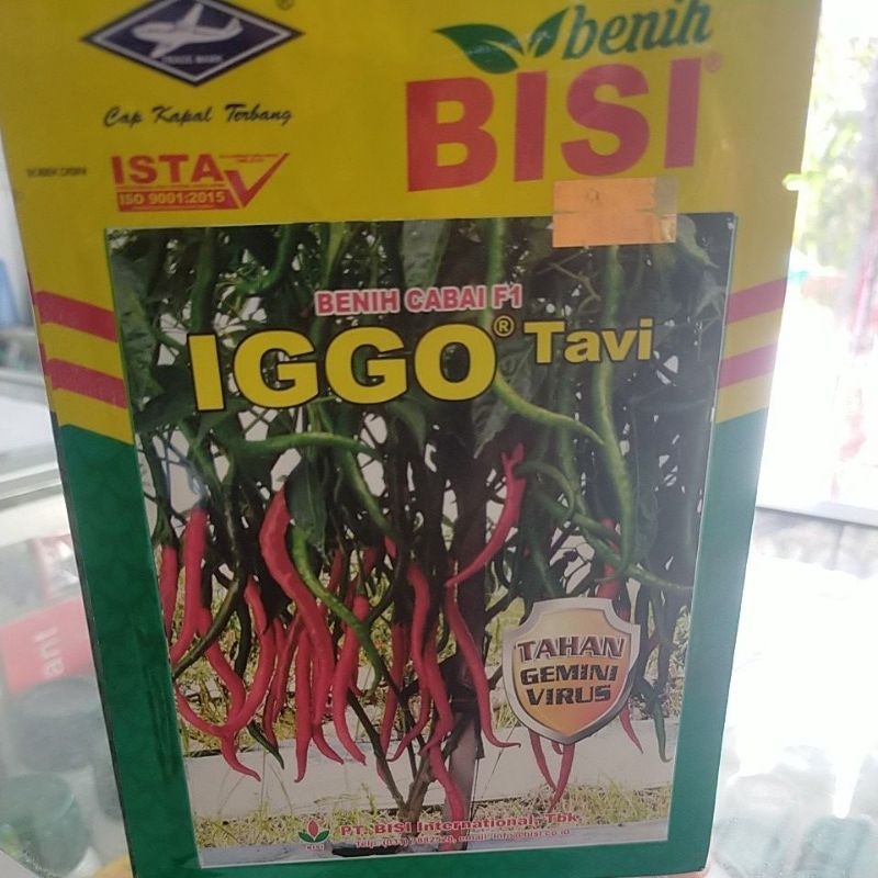 cabai iggo tavi