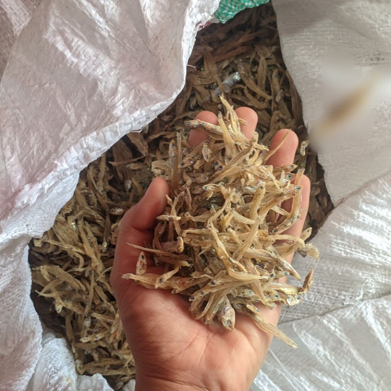 

READY BABY TERI TAWAR 1KG