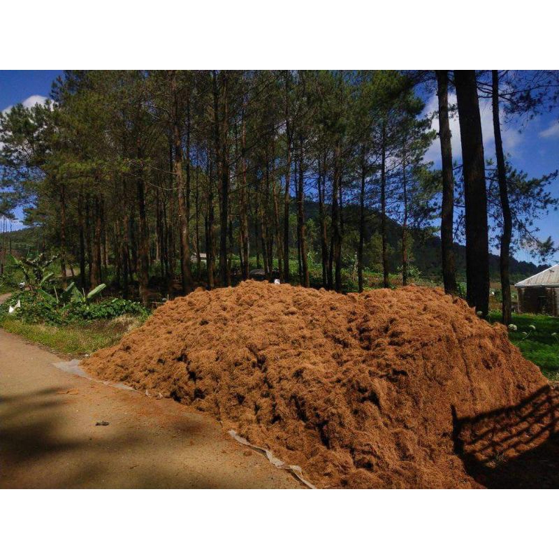 Cocopeat 1 Karung Uk 50kg - Cocofiber Media Tanam Karungan 50
