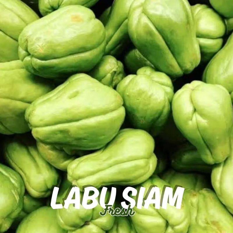 

Labu Siam Besar Segar Per 1 Buah