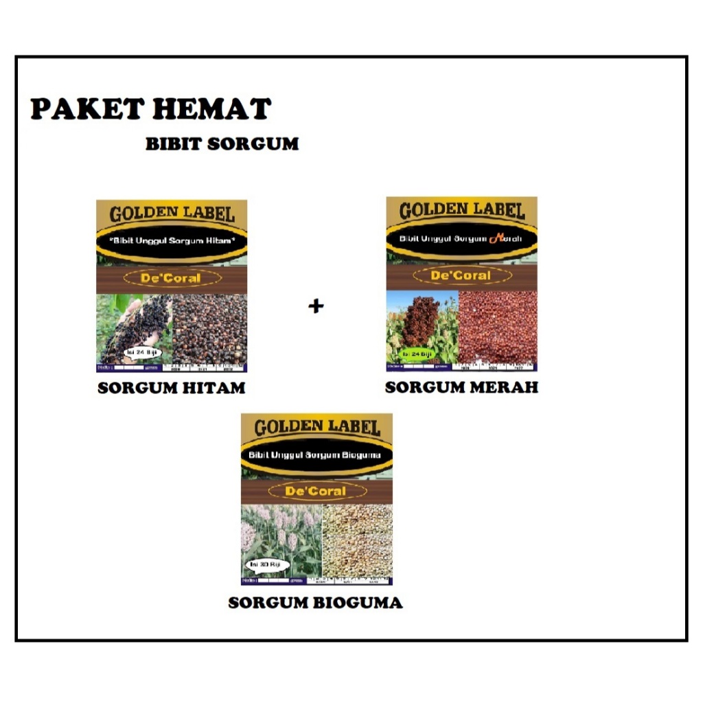 Promo Bibit Sorgum Hitam, Merah, bioguma