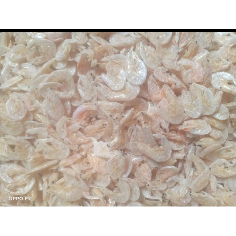 

udang rebon kasar 500 grm