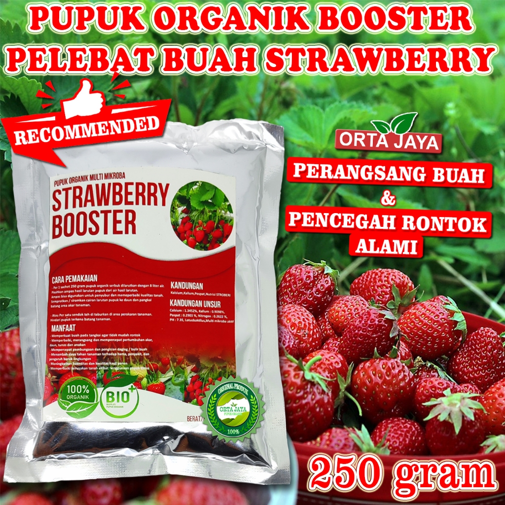 Pupuk Organik Booster Buah Strawberry Perangsang Pelebat Strawberry Cepat Berbuah Lebat dan Besar
