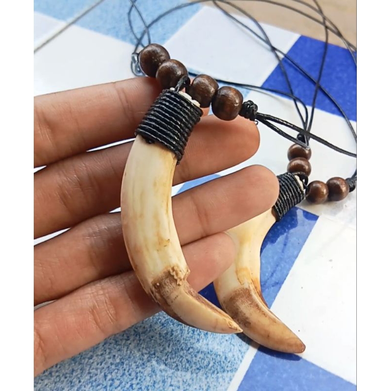 Liontin taring babi asli 100% tinggal pakai