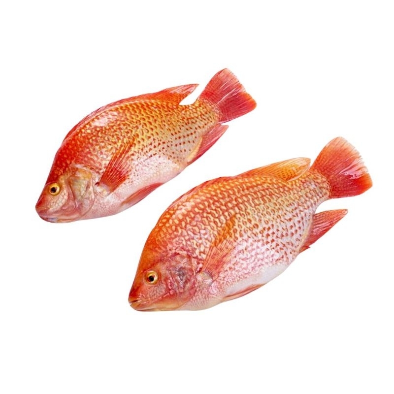 

Ikan Nila Merah Segar/Fresh 1Kg
