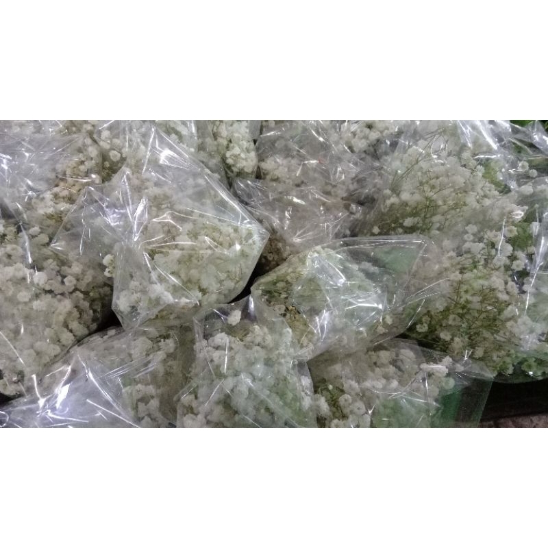 BUNGA BABY BREATH  FRESH 1 TANGKAI