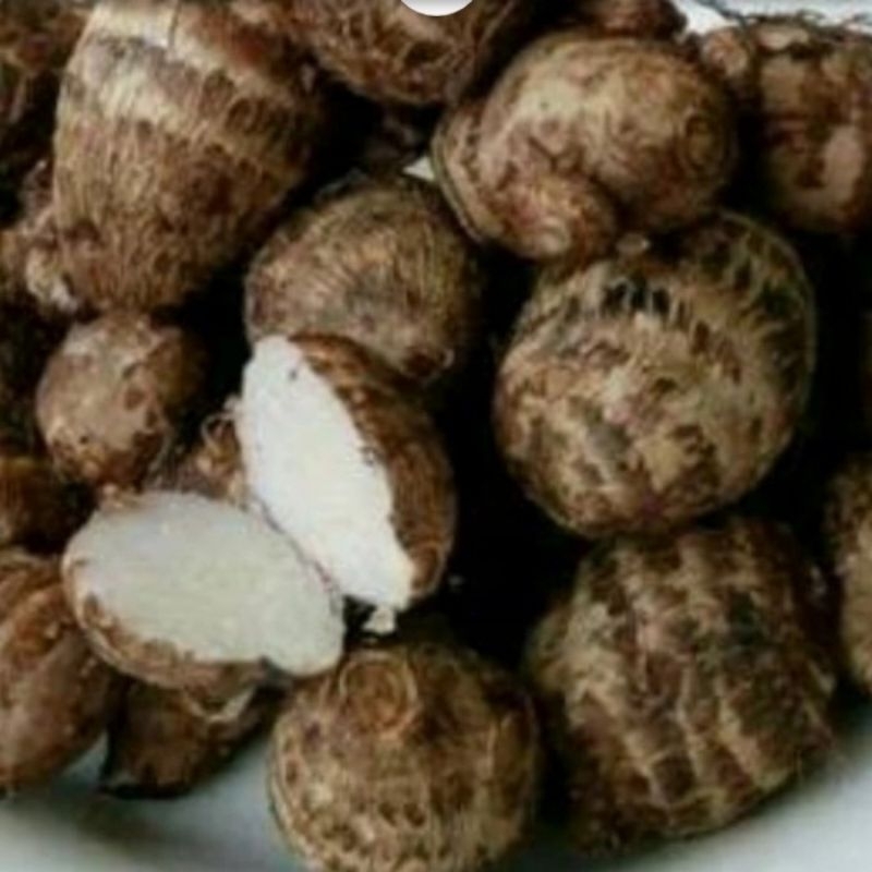 

TALAS SEGAR SEHAT 1kg