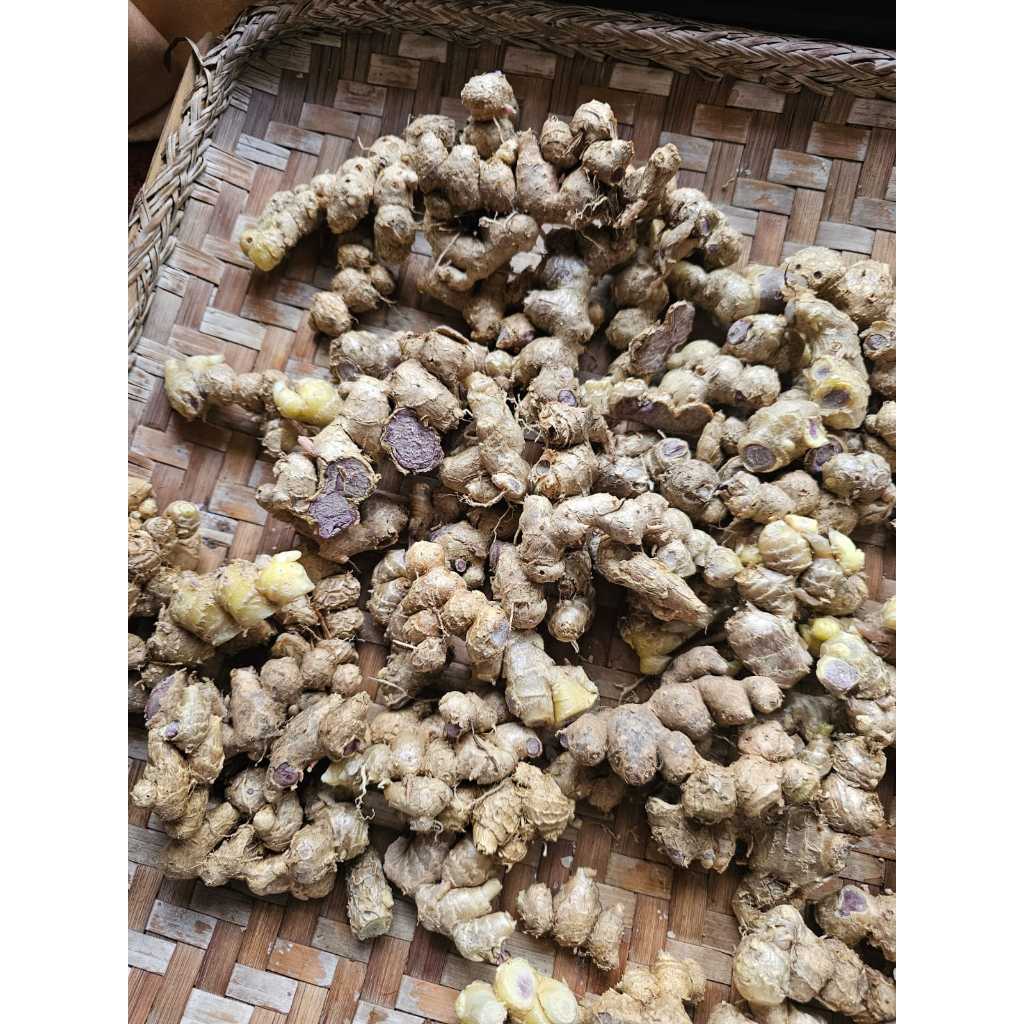 

JAHE HITAM FRESH 100gram READY STOCK MEDAN JAHE KUALITAS PREMIUM