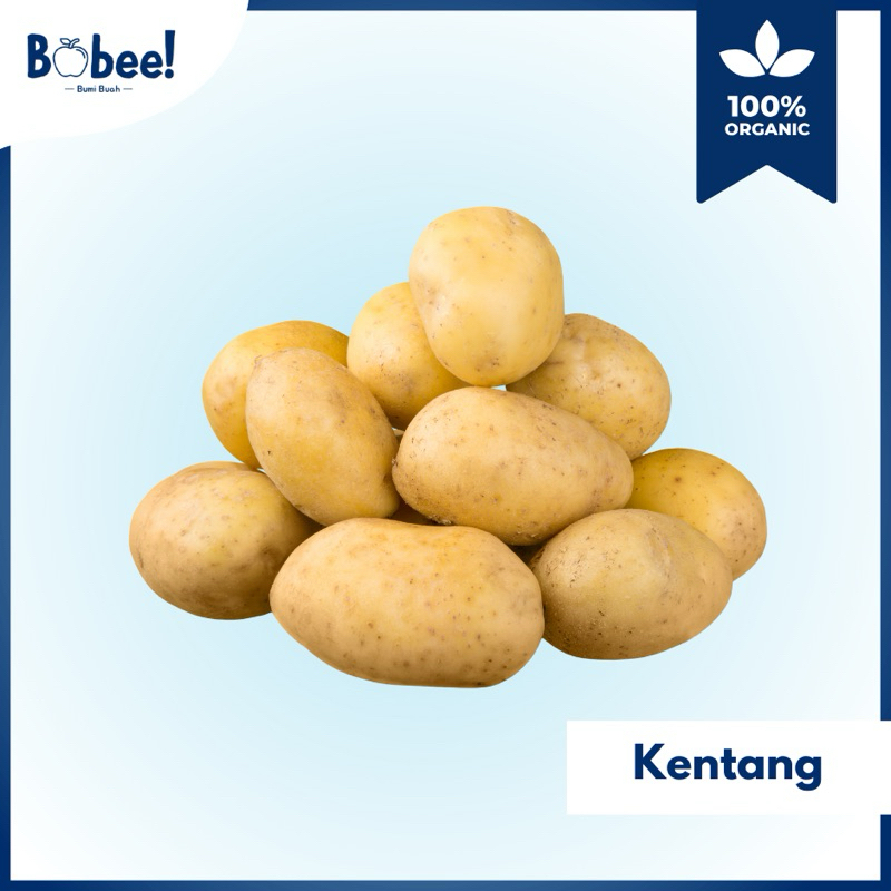 

Kentang Super 500gr Fresh & Premium | Bobee.official - (Instant/Sameday)