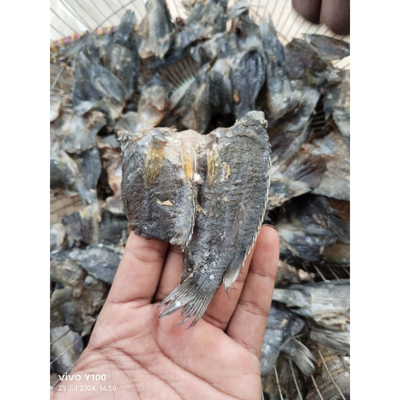 

Ikan Asin Betok Gurih (100g)_Ikan Asin Tempuyu_Ikan Asin Betrik