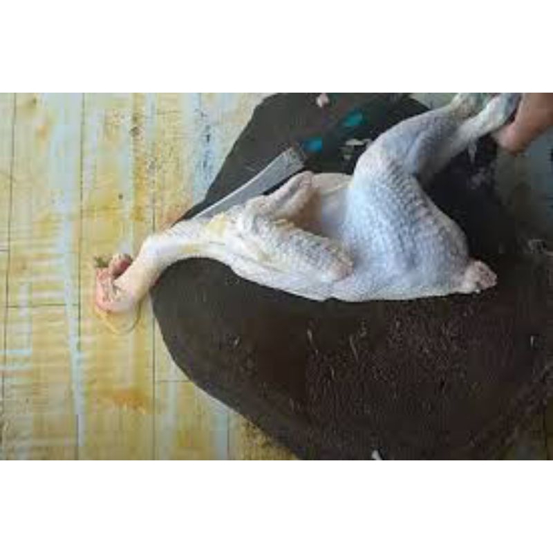 

ayam pejantan 900gram-1,2kg