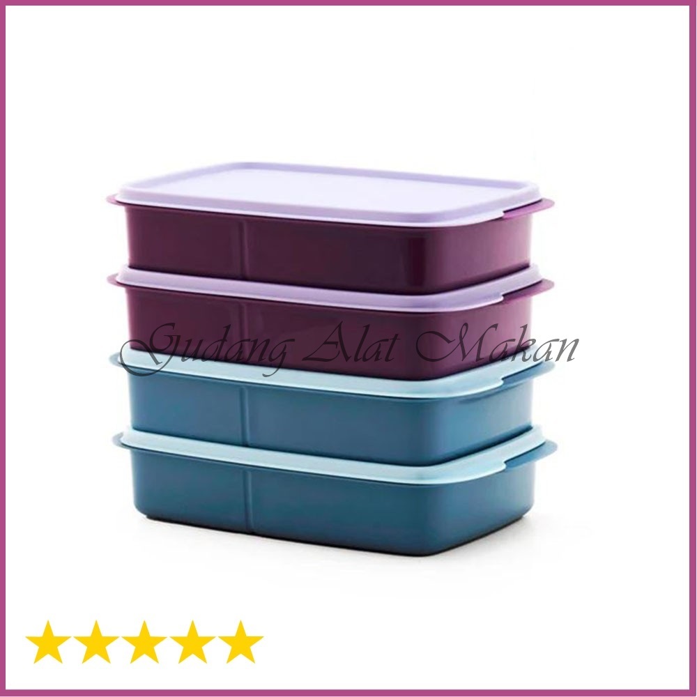 TUPPERWARE Divided Lunch Box Cool Teen Lunch Box