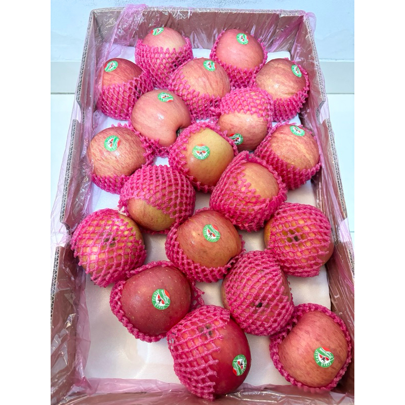 

Buah Segar Apel Fuji China Manis Garing 1kg Fuji