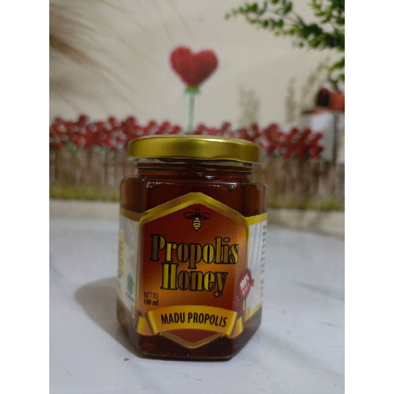 

Madu Pramuka Propolis Madu Propolis 200gr