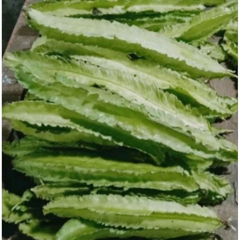 

SAYUR KECIPIR FRESH (per ikat)