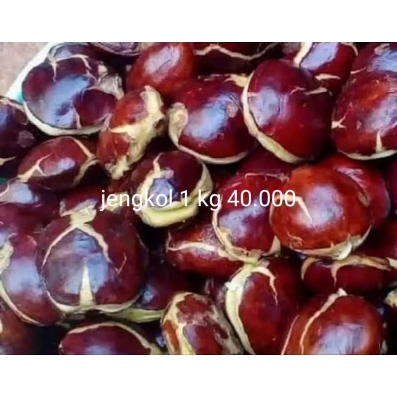 

jengkol 1kg 25.000