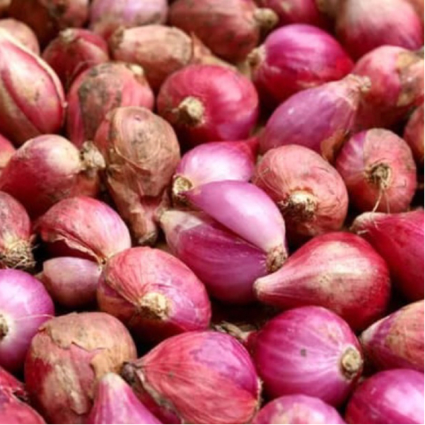 

Bawang Merah 500g Brambang Asli Brebes 100% Kering Ukuran Besar Kualitas Terbaik