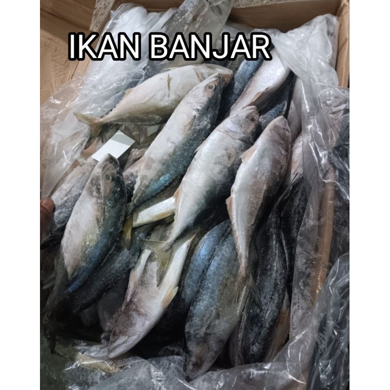 

Ikan Kembung Banjar Beku Frozen