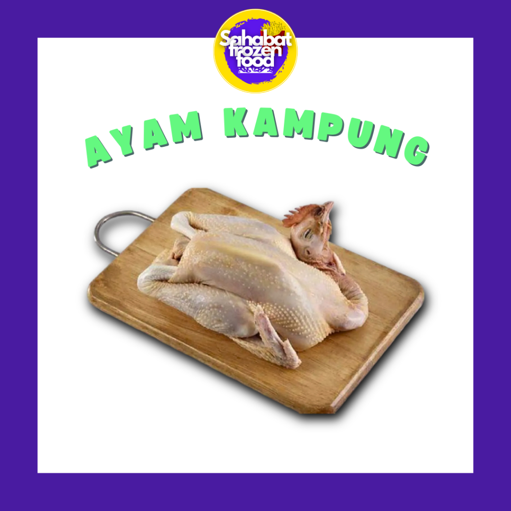 Ayam Kampung Segar / Ayam Kampung Utuh / Ayam Potong