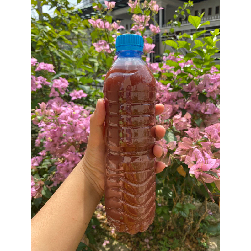 PSB Bakteri Fotosintesis (1000 ml)