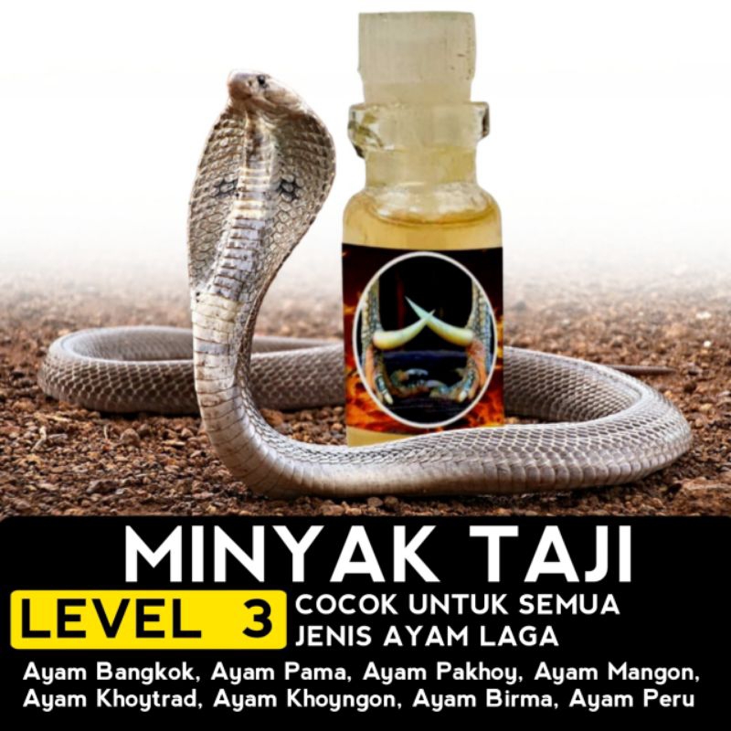 doping racun ayam aduan minyak Taji level 3
