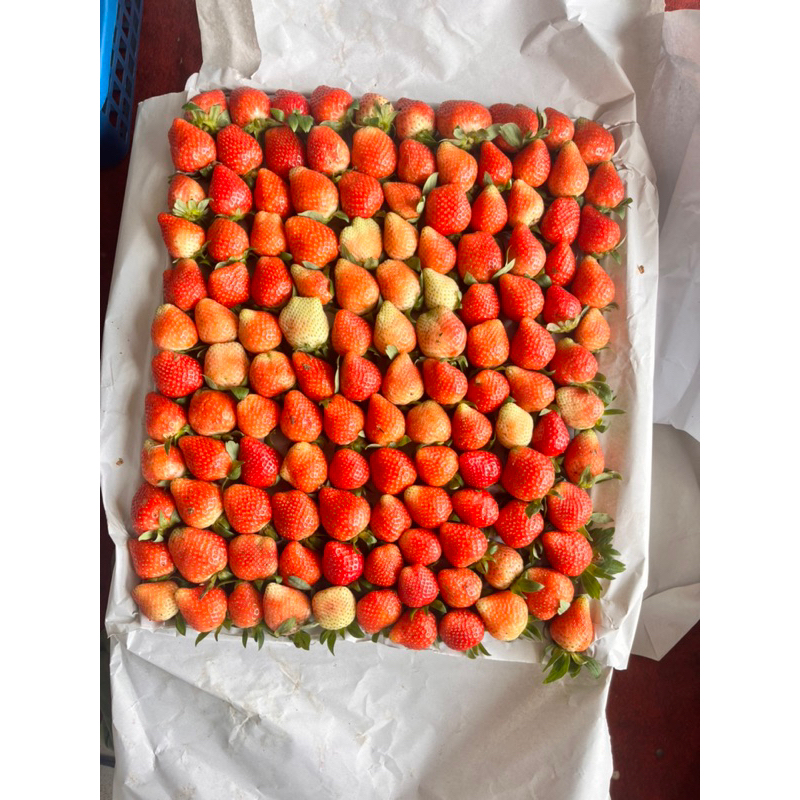 

curah 10kg A