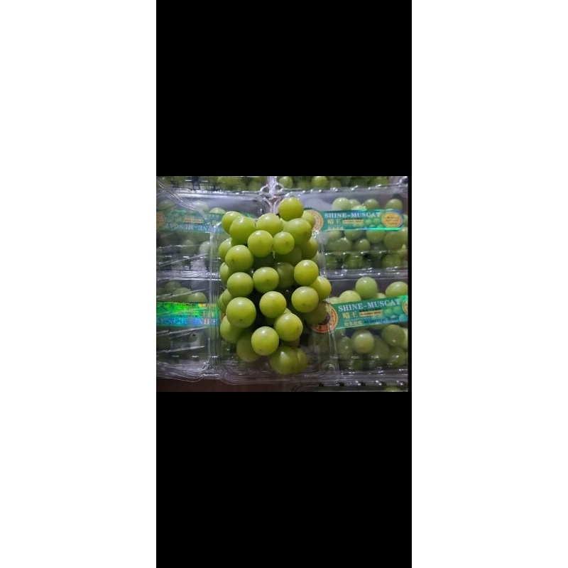 

Anggur Muscat 500 gr