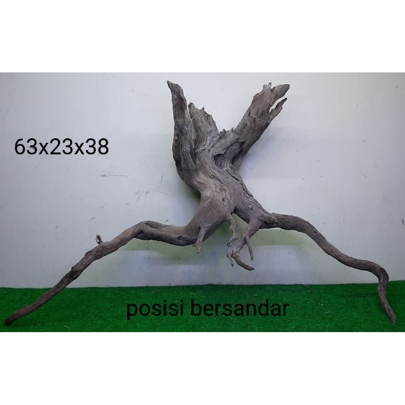 Bonggol Kayu Santigi Laut - Kayu Tenggelam - Aquascape - Aquarium - Taman - 63x23x38 C