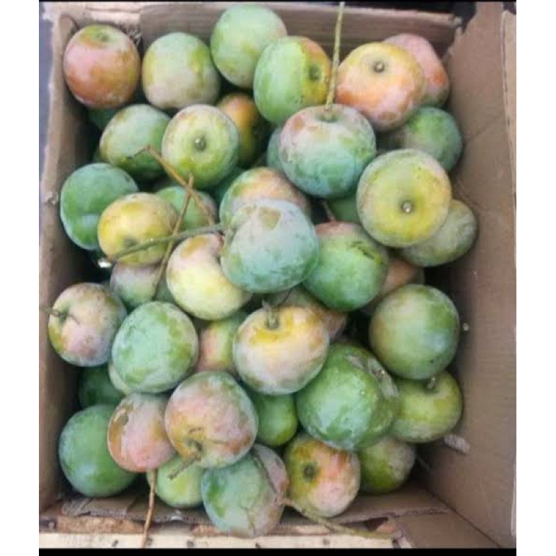 

Paket Mangga mentah jenis Apel+Sambel rujak bangkok
