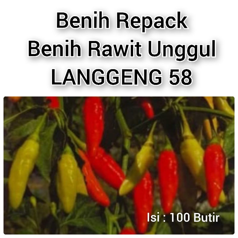 Benih Cabai Rawit LANGGENG 58 F1 // Repack // 100 Butir