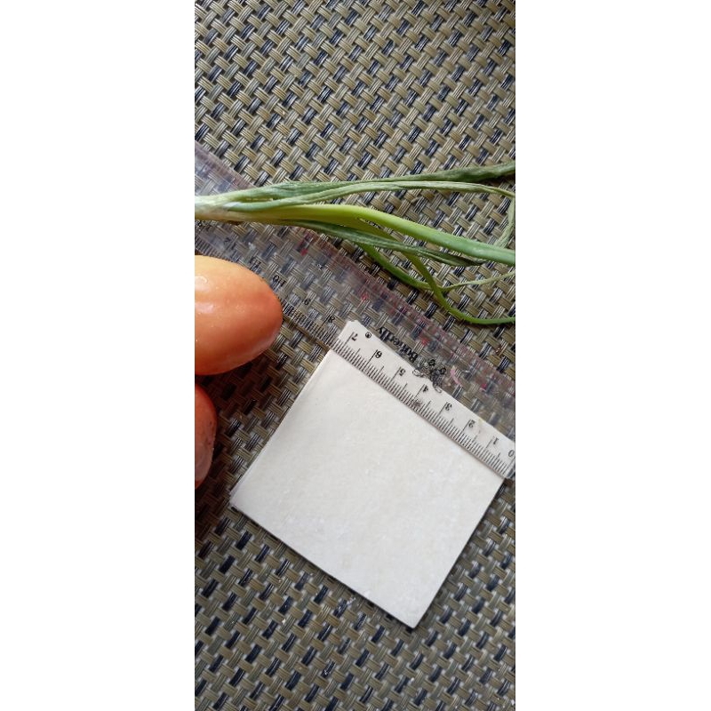 

KULIT PANGSIT/FROZEN FOOD/UK 7*7(250g)