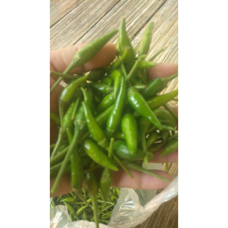 

cabe jucung cabe gorengan