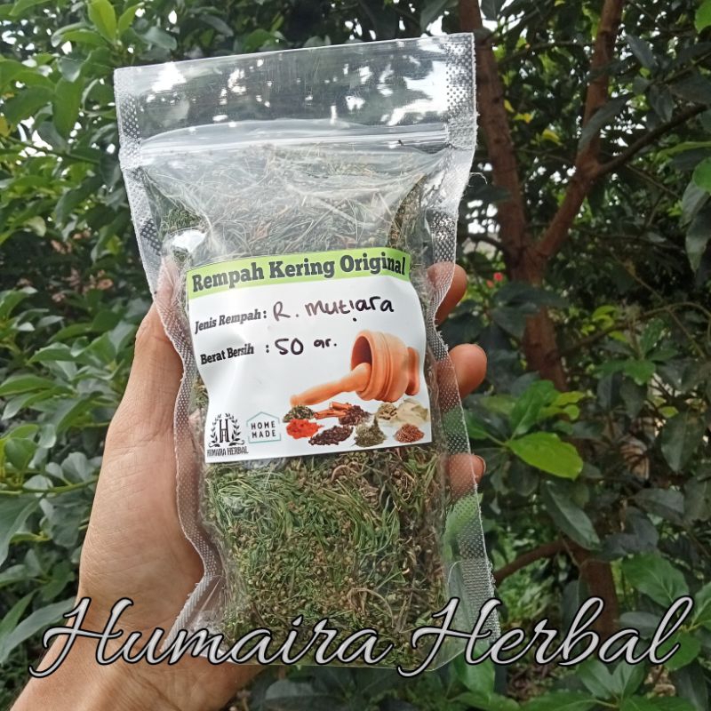 

Rumput Mutiara Kering Obat Herbal Alami 50Gram