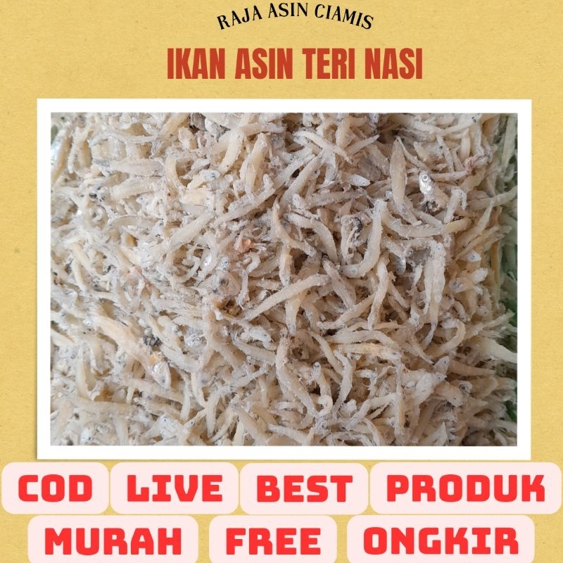 

IKAN ASIN TERI NASI