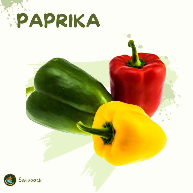 

PAPRIKA HIJAU, MERAH, Dan KUNING / PCS